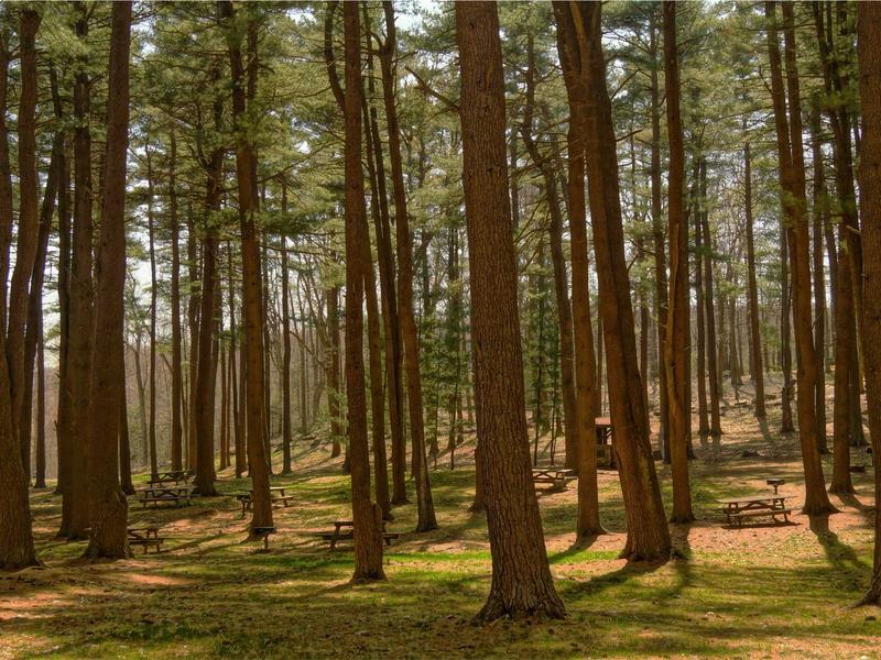 sudoku create puzzle screenshot 4